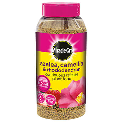 Miracle-Gro Azalea, Camellia & Rhododendron Continuous Release Plant Food (1kg)