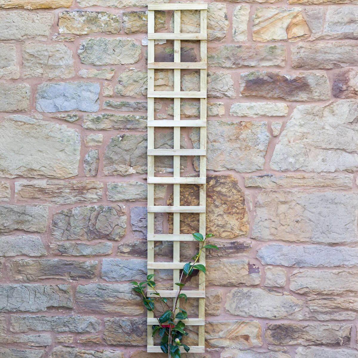 pressure treated wood for trellis Zest Pressure Treated Wood Square Trellis 183cm x 30.5cm – Ruxley Manor Garden Centre