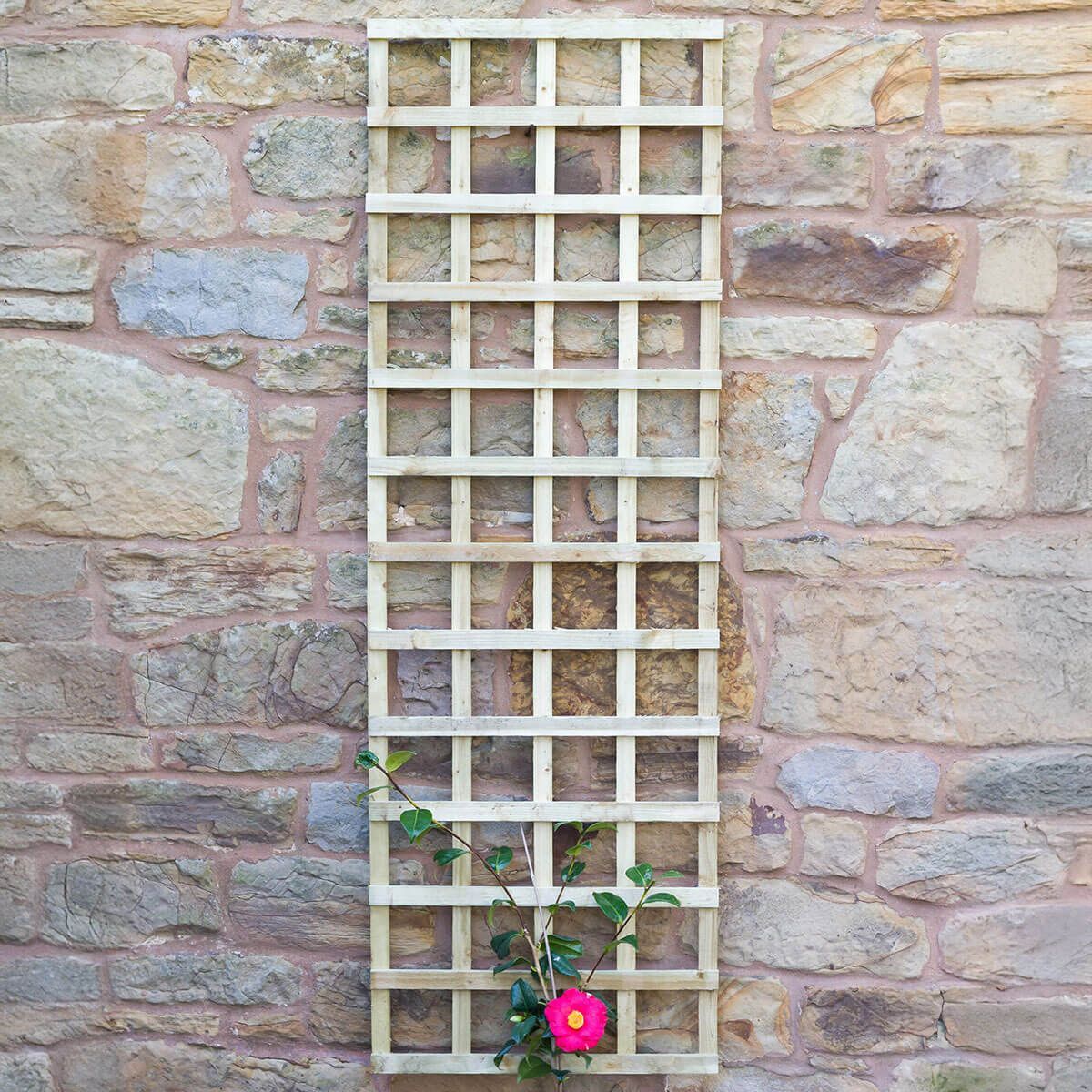 pressure treated wood for trellis Zest Pressure Treated Wood Square Trellis 183cm x 61.5cm – Ruxley Manor Garden Centre