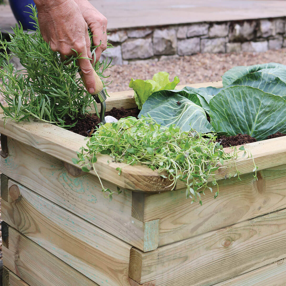 Zest Pressure Treated Wood Sleeper Raised Bed - Narrow – Ruxley Manor ...