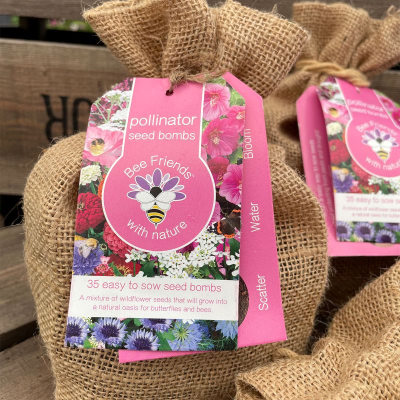 Pollinator Seed Bombs - Easy to Sow Wildflower Seeds