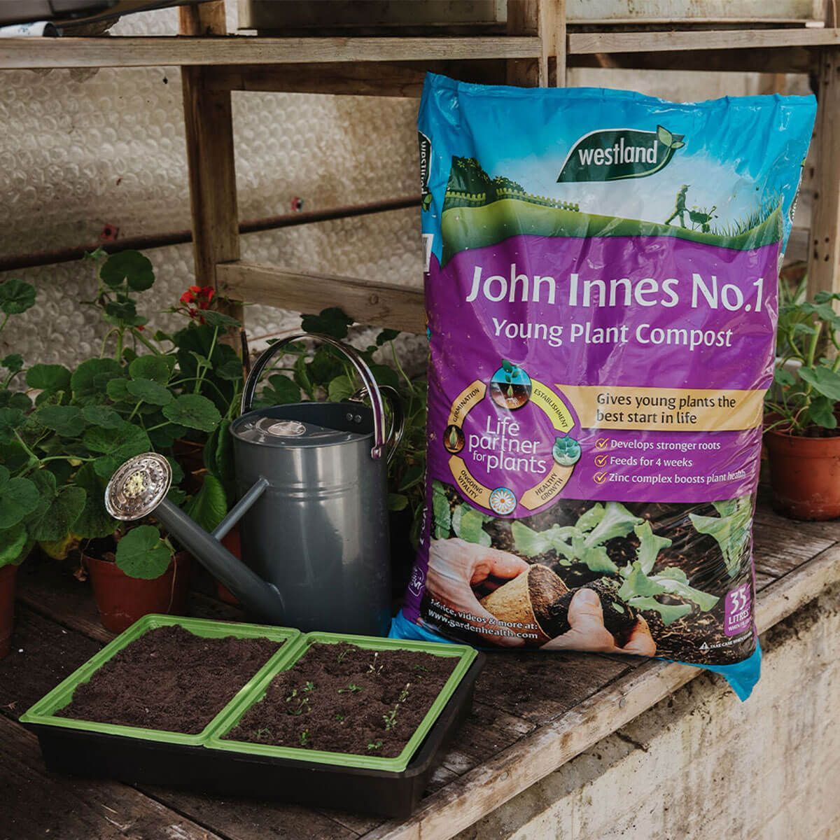 Tigerbox 3 x 10 Litre Levington John Innes No.1 Compost Seedlings Young Plants Cuttings with Antibacterial Pen 