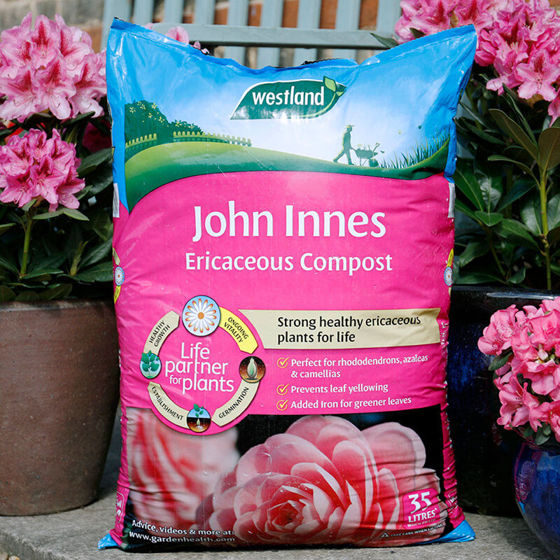 John Innes Ericaceous Compost (enriched with Iron)