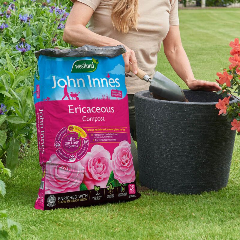 John Innes Peat Free Ericaceous Compost (28 Litres)