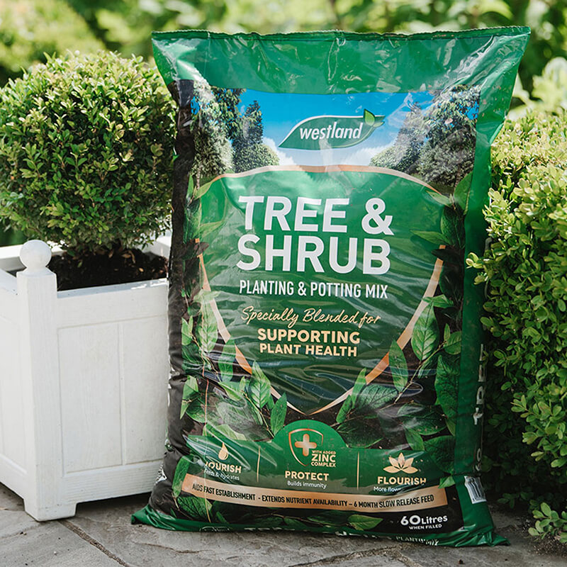 Tree & Shrub Planting & Potting Mix