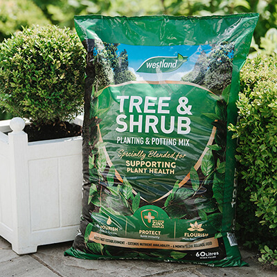 Tree & Shrub Planting & Potting Mix (60 Litres)