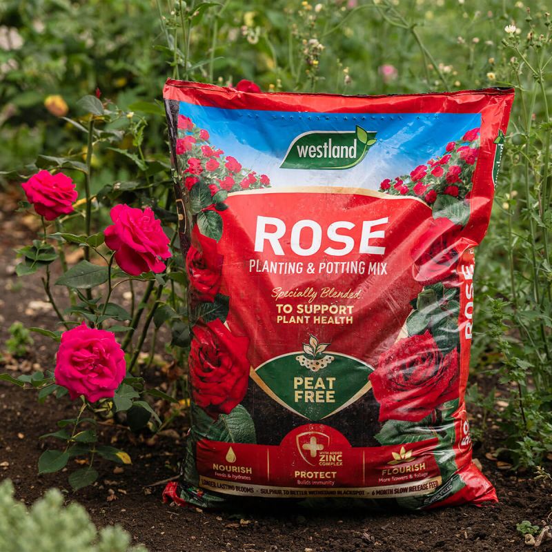 Rose Planting & Potting Peat Free Mix (25 Litres)