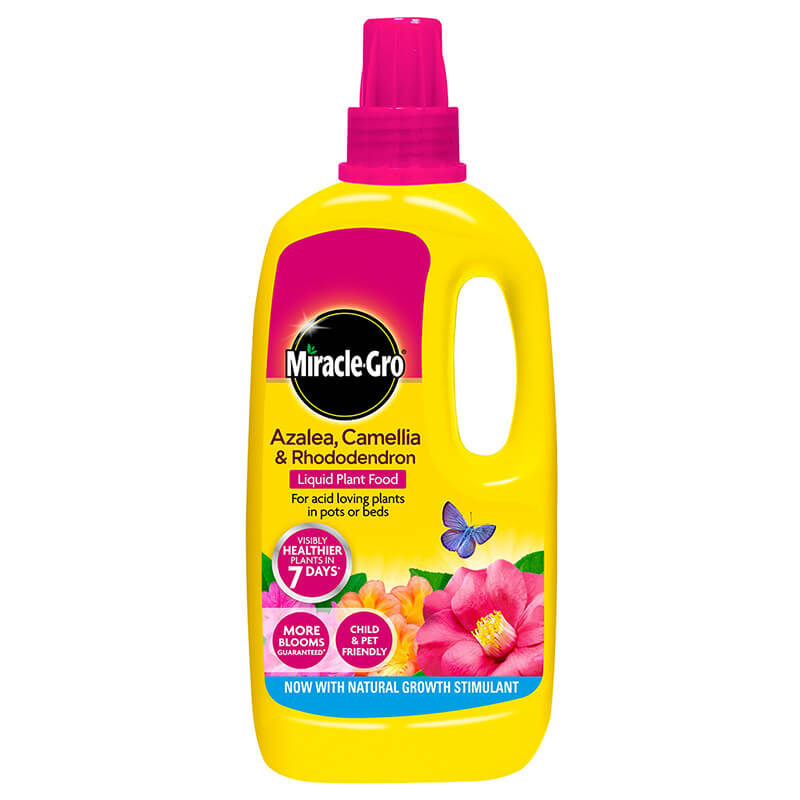 Miracle-Gro Azalea, Camellia & Rhododendron Concentrated Liquid Plant Food 1 Litre