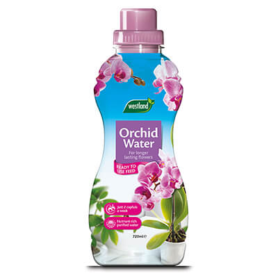 Orchid Water