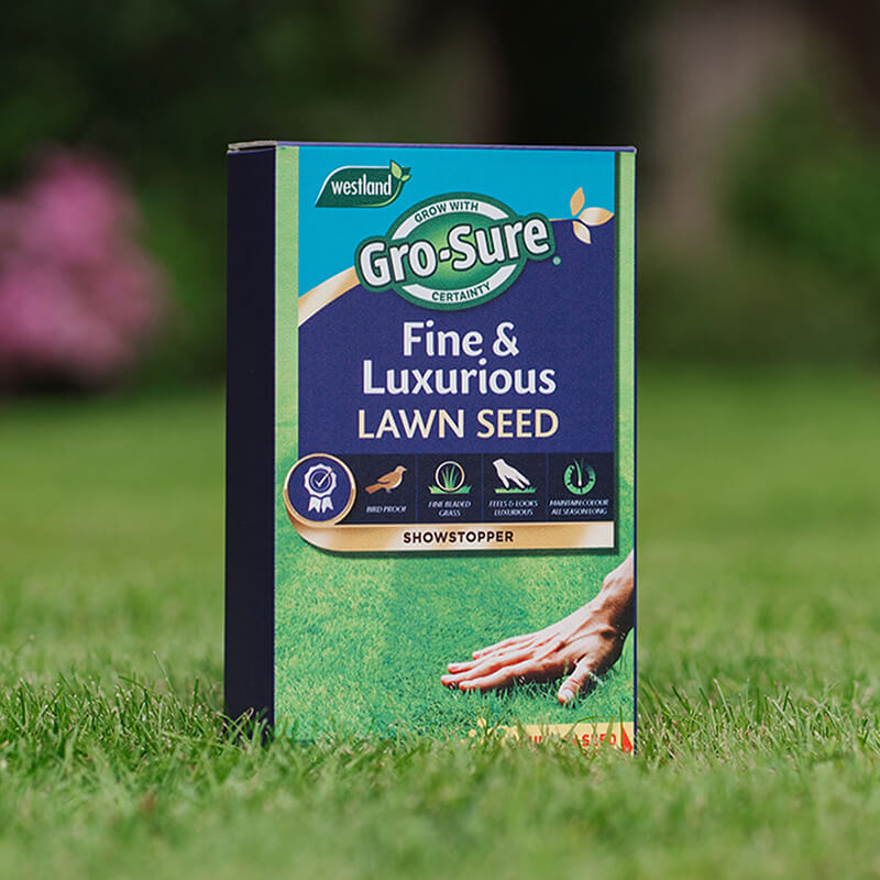 Gro-sure Fine & Luxurious Lawn Seed (Covers 30sq.m)