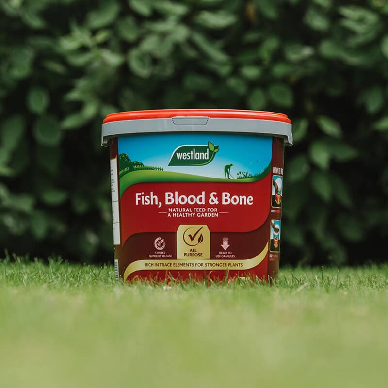 Fish, Blood & Bone (10kg)