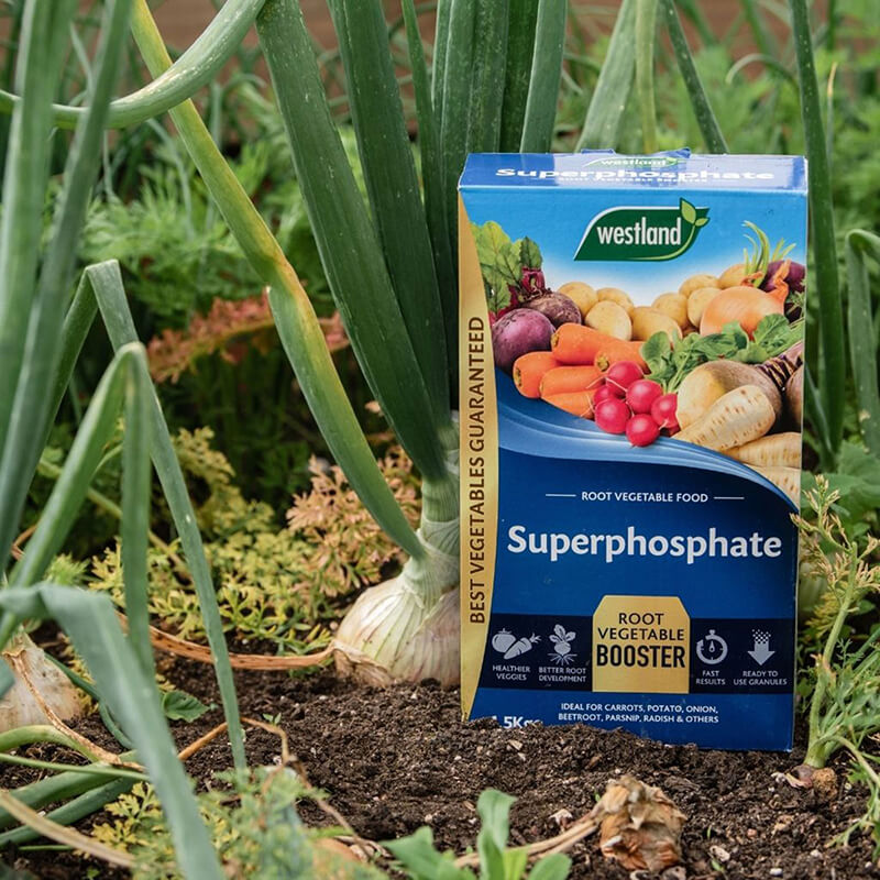 Superphosphate Root Vegetable Food (1.5kg)