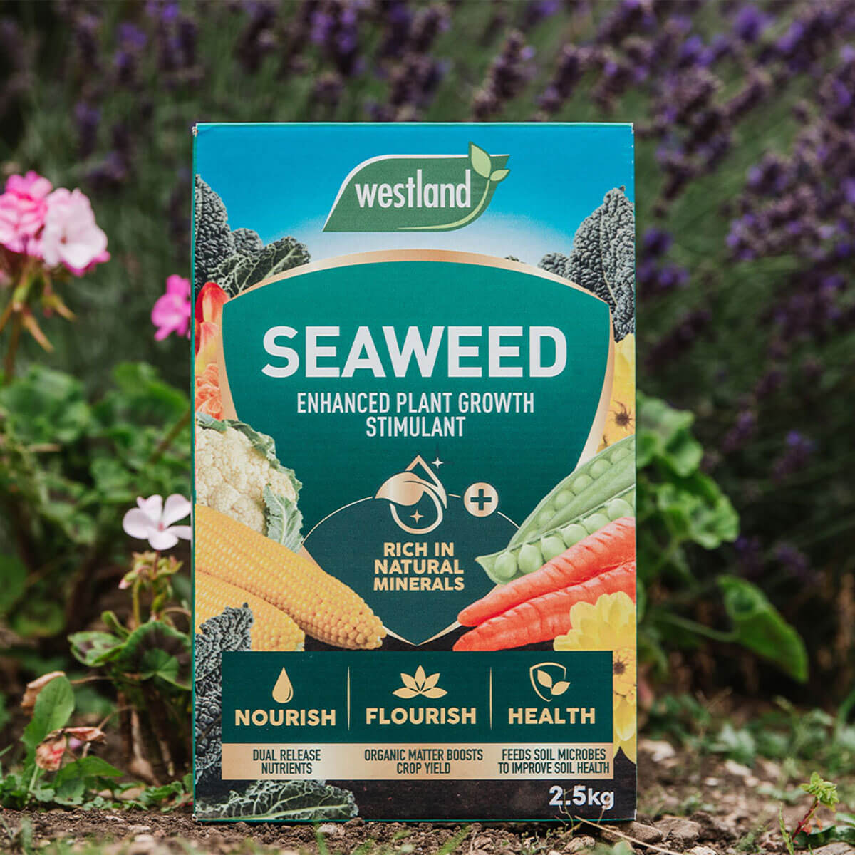 Westland Seaweed Enhanced Plant Growth Stimulant (2.5kg)