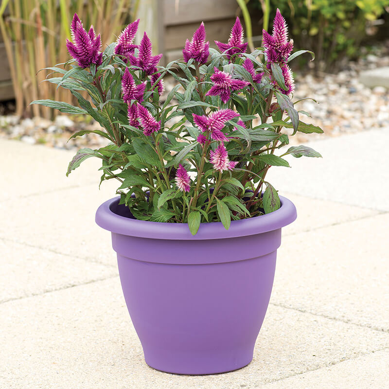 33cm Essentials Outdoor Plant Pot (Lavender)