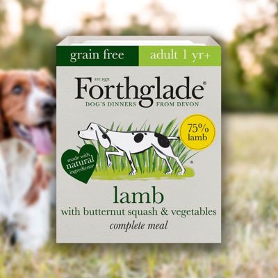 Forthglade Grain Free Wet Dog Food - Lamb (395g)