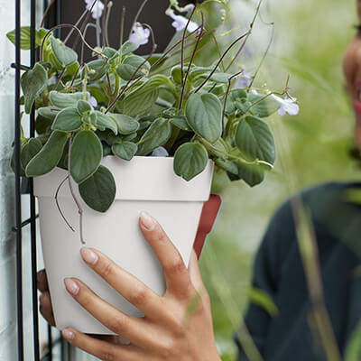 15cm Loft Urban Green Wall Plant Pot (White)