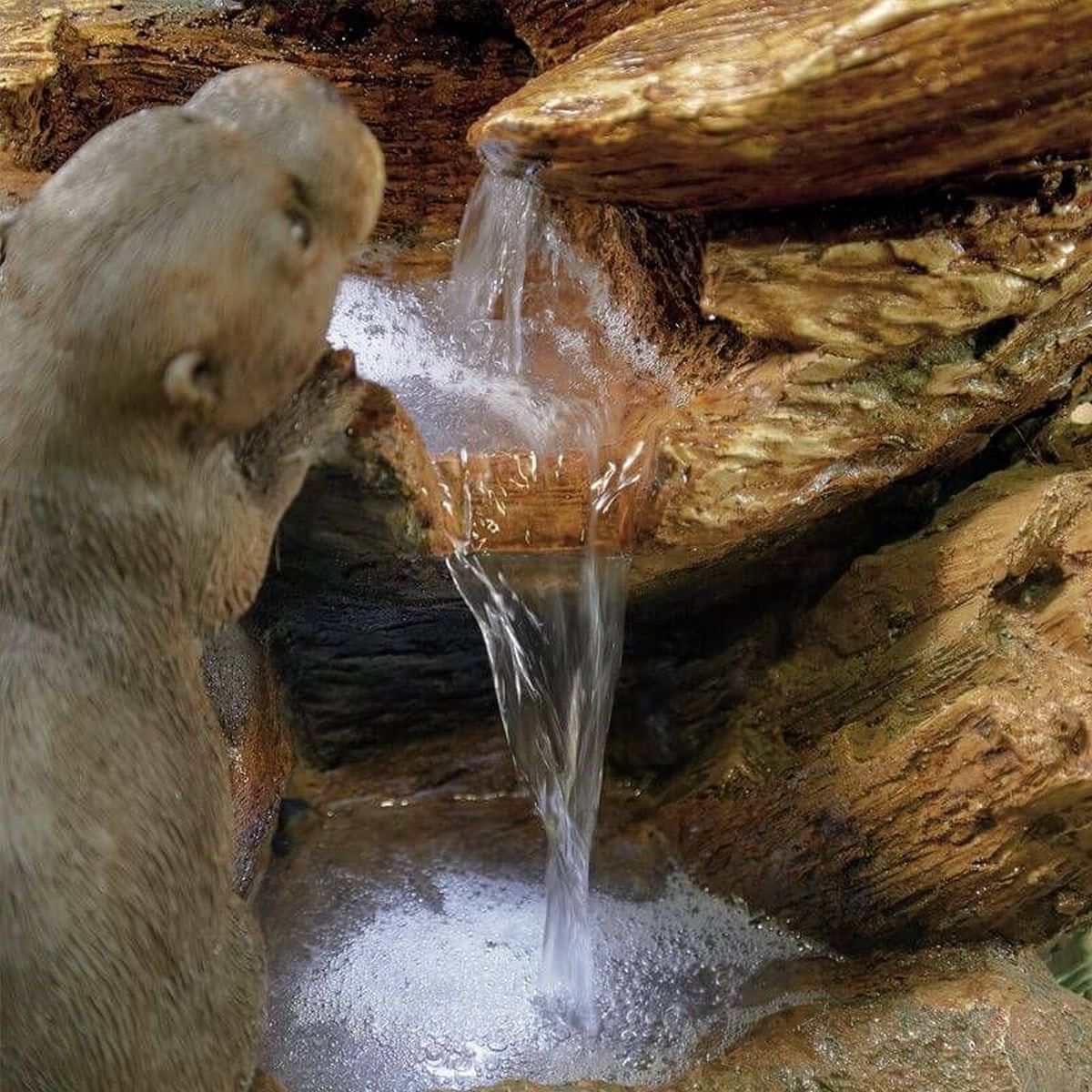 Kelkay Otter Pools Water Feature (with LEDs)