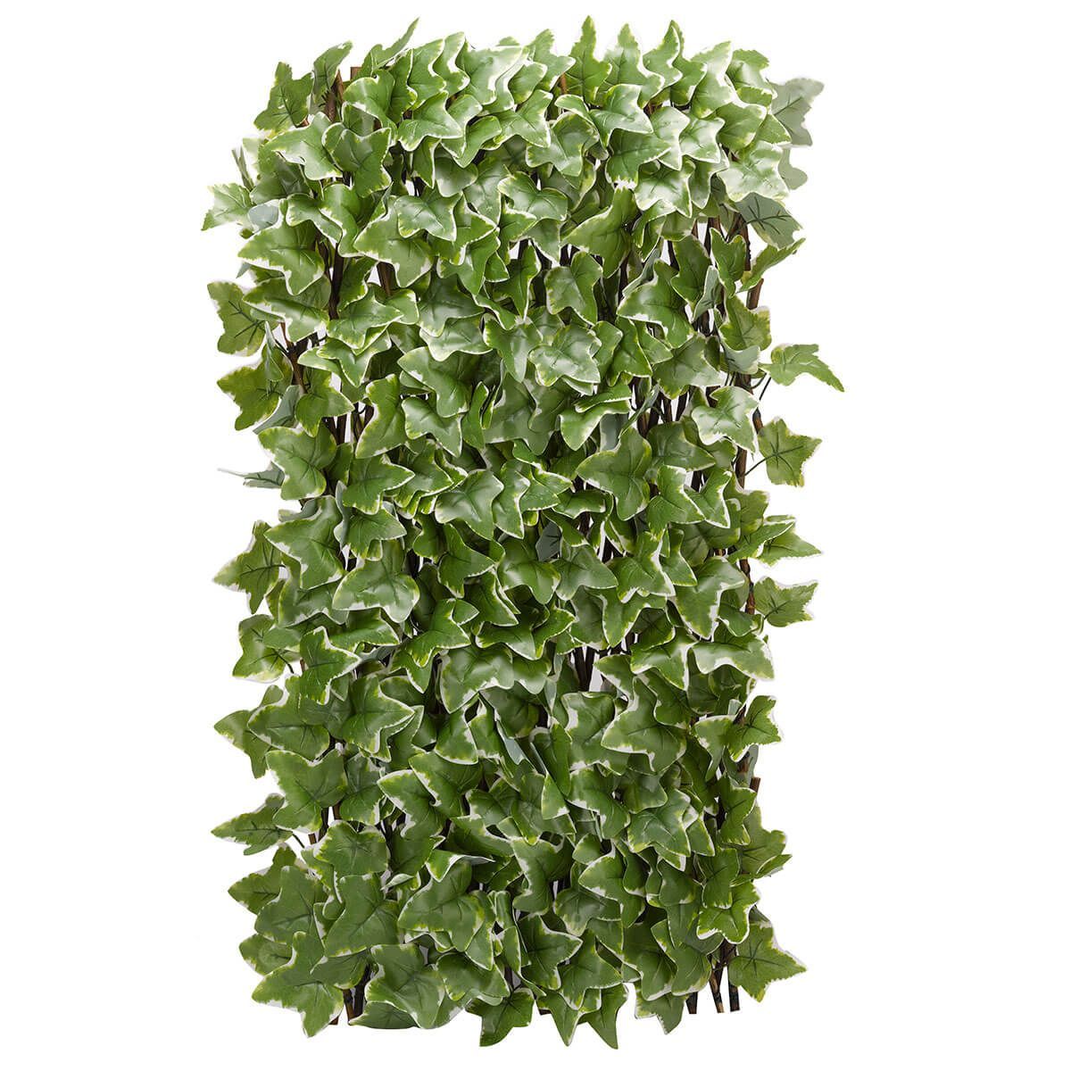 Ivy Leaf Trellis 180cm x 90cm