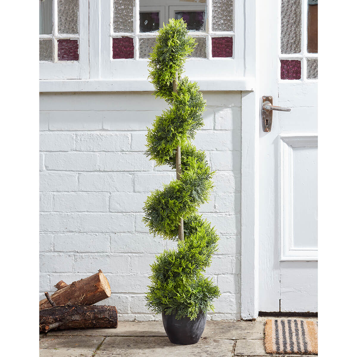 Cypress Topiary Twirl 120 cm