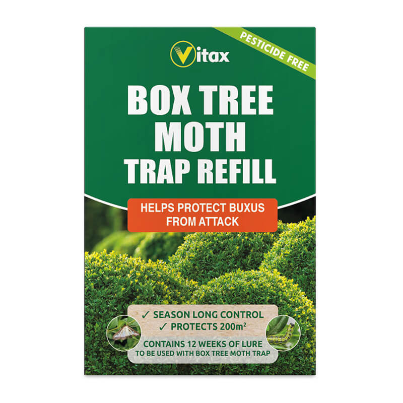 Box Tree Moth Trap Refill 2 Box