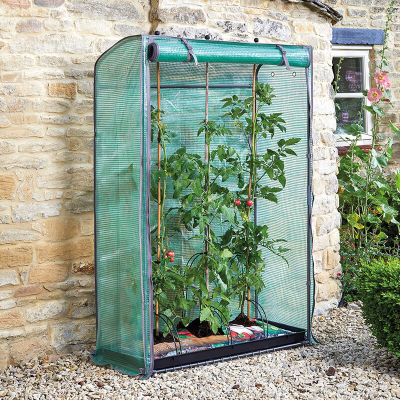 Tomato GroZone (Protects Tomatoes & Vegetables as They Grow)