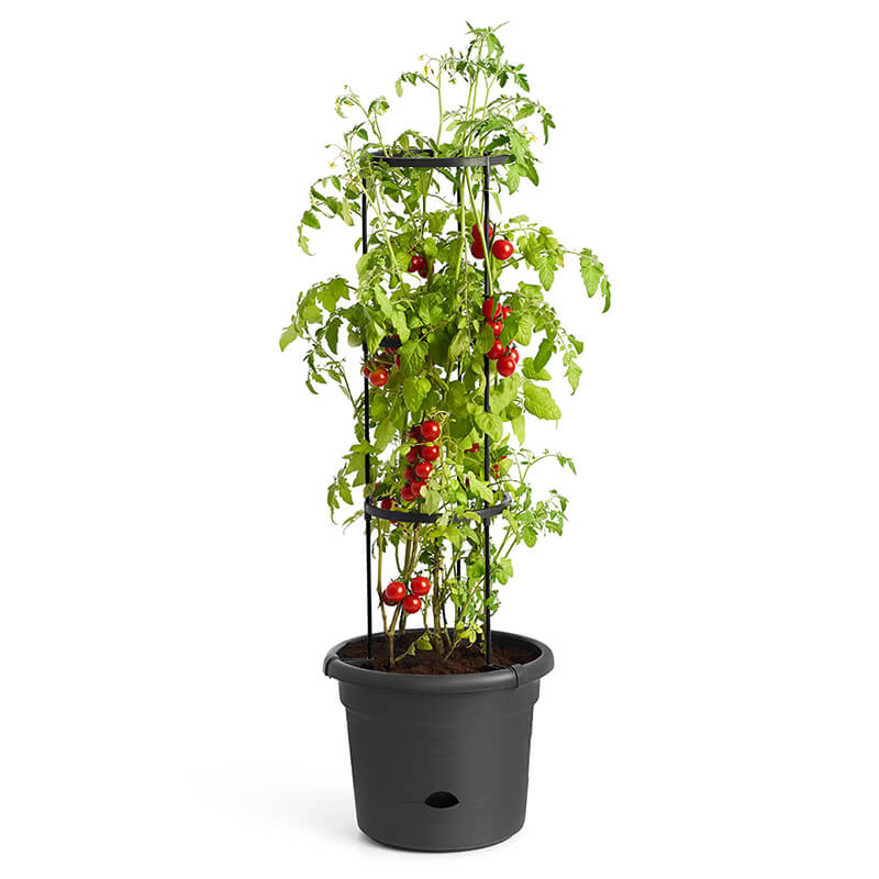 33cm Green Basics Tomato Plant Pot (Black)