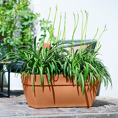 80cm Vibia Campana Terrace Plant Trough (Terracotta)