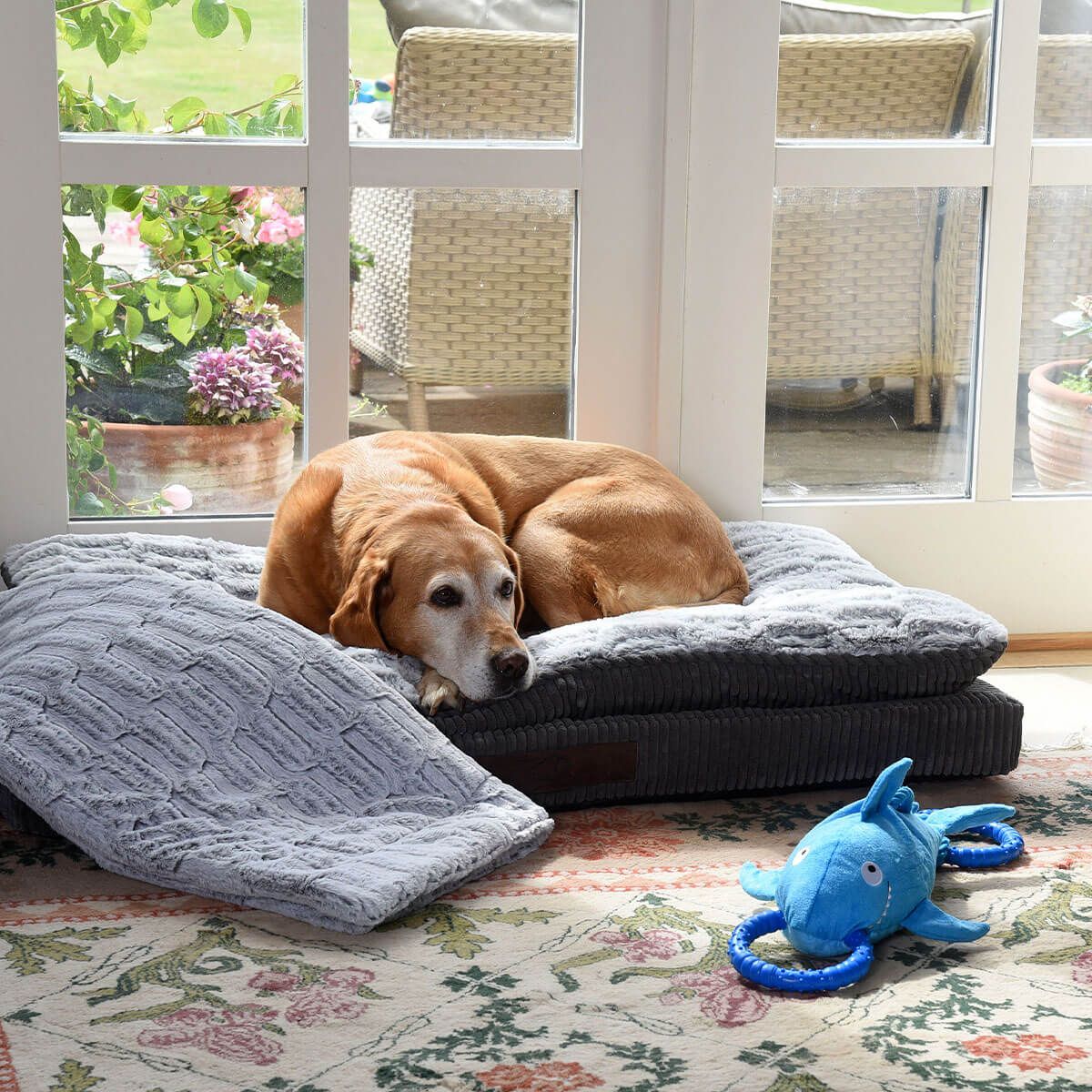 Zoon Komfort Kord Memory Foam Dog Mattress - Grey (Medium Dog)