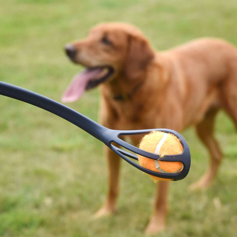 Zoon Dog Ball Thrower (65cm)