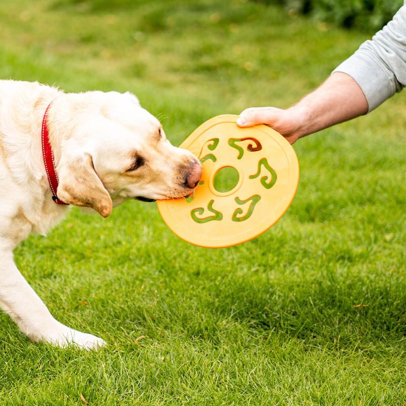 Zoon Orange Rubber Frisbee Dog Toy (25cm)