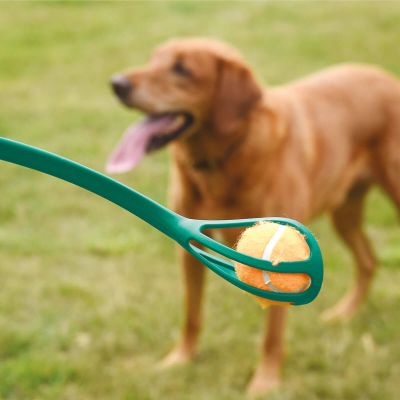 Zoon Dog Mini-Ball Thrower (40cm)