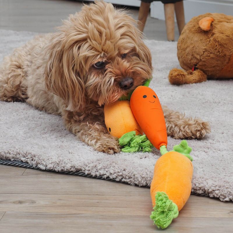 Zoon Tugga Carrots Dog Rope Toy