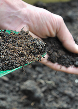 Compost, Manure & Plant Growbags