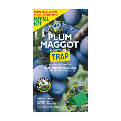 Growing Success Plum Maggot Trap Refill