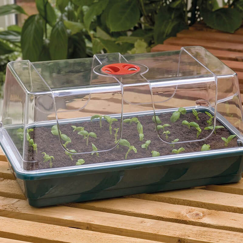 Large High Dome Propagator With Holes  