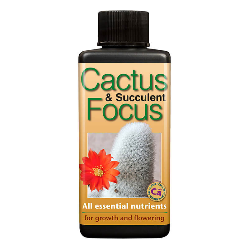 Cactus Focus 100ml