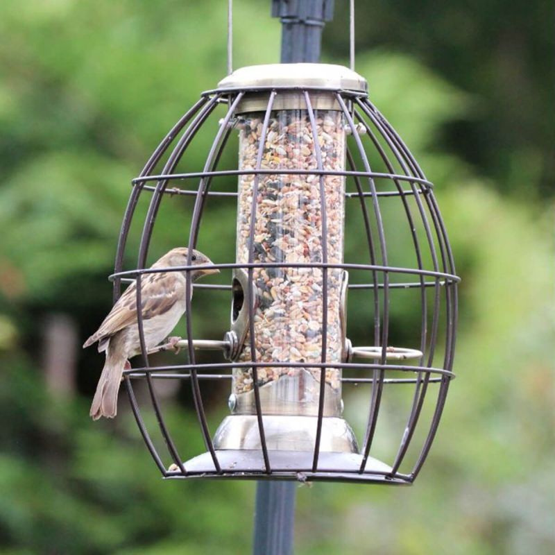 Henry Bell Heritage Gold Squirrel Proof Bird Seed Feeder