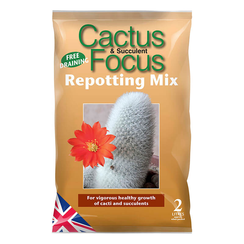 Cactus Focus Repotting Mix 2 Litres