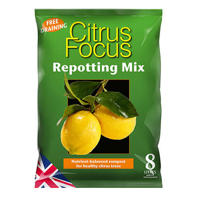 Citrus Focus Repotting Mix 8 Litres