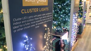 Christmas Lights at Ruxley Manor