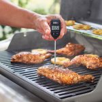 Meat Thermometer Buy Online