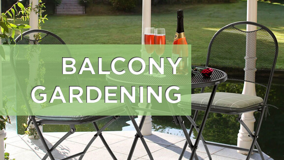 Balcony Gardening Advice